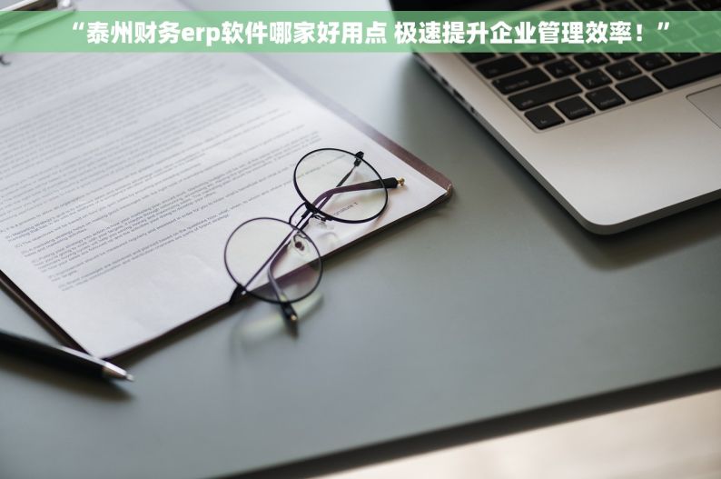 “泰州财务erp软件哪家好用点 极速提升企业管理效率！”