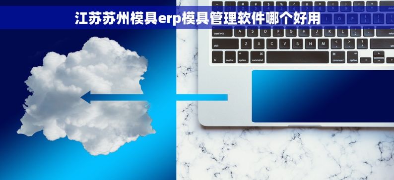 江苏苏州模具erp模具管理软件哪个好用