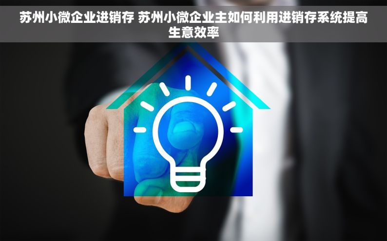 苏州小微企业进销存 苏州小微企业主如何利用进销存系统提高生意效率