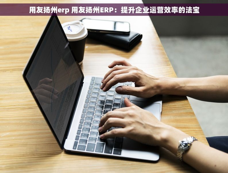 用友扬州erp 用友扬州ERP：提升企业运营效率的法宝