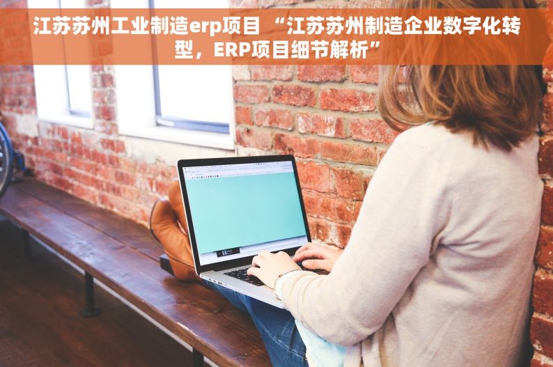江苏苏州工业制造erp项目 “江苏苏州制造企业数字化转型，ERP项目细节解析”