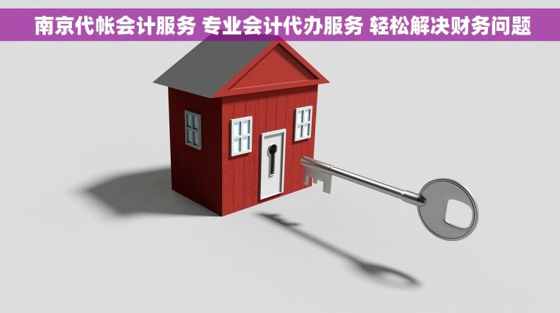  南京代帐会计服务 专业会计代办服务 轻松解决财务问题