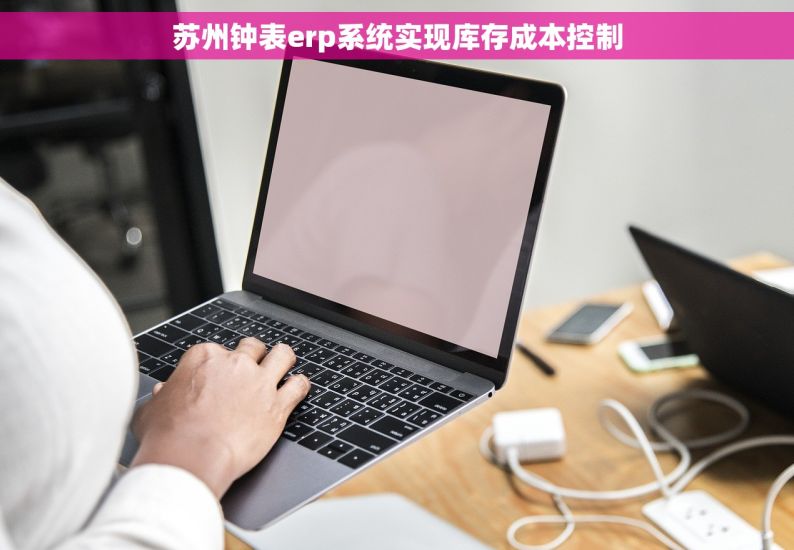 苏州钟表erp系统实现库存成本控制