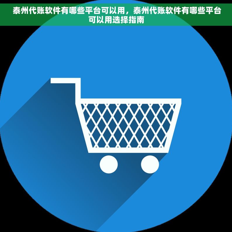  泰州代账软件有哪些平台可以用，泰州代账软件有哪些平台可以用选择指南