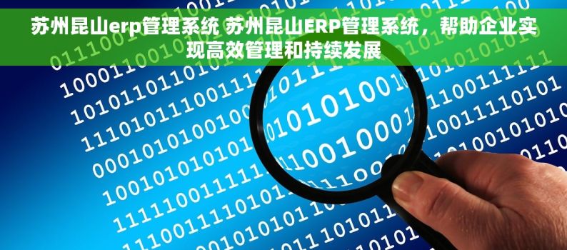 苏州昆山erp管理系统 苏州昆山ERP管理系统，帮助企业实现高效管理和持续发展