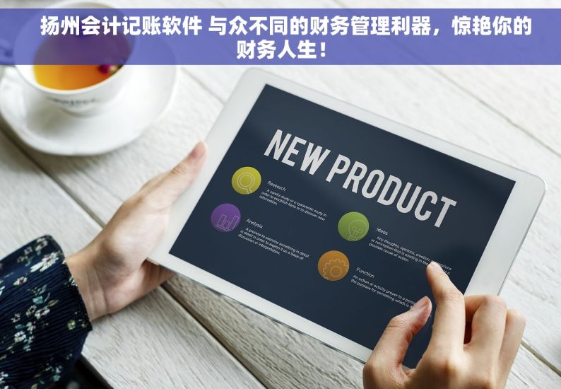   扬州会计记账软件 与众不同的财务管理利器，惊艳你的财务人生！