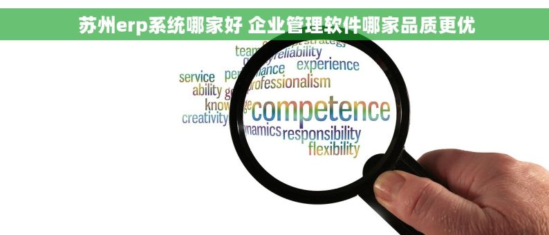  苏州erp系统哪家好 企业管理软件哪家品质更优