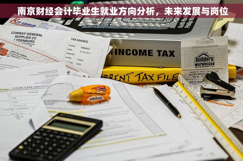  南京财经会计毕业生就业方向分析，未来发展与岗位