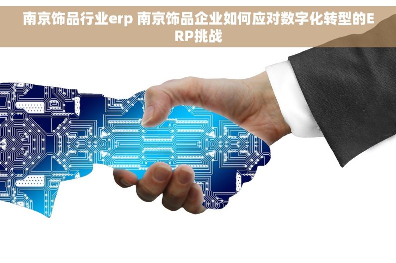 南京饰品行业erp 南京饰品企业如何应对数字化转型的ERP挑战