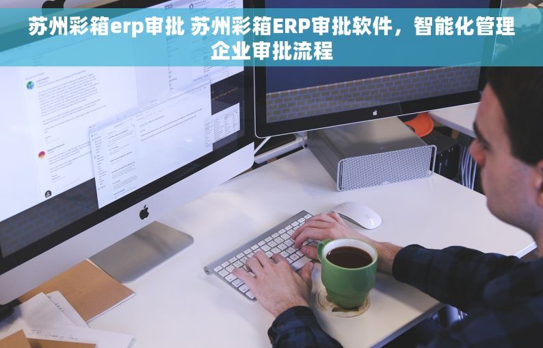 苏州彩箱erp审批 苏州彩箱ERP审批软件，智能化管理企业审批流程
