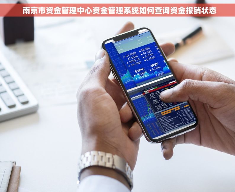   南京市资金管理中心资金管理系统如何查询资金报销状态