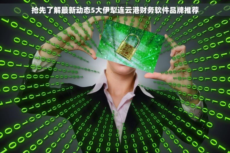抢先了解最新动态5大伊犁连云港财务软件品牌推荐