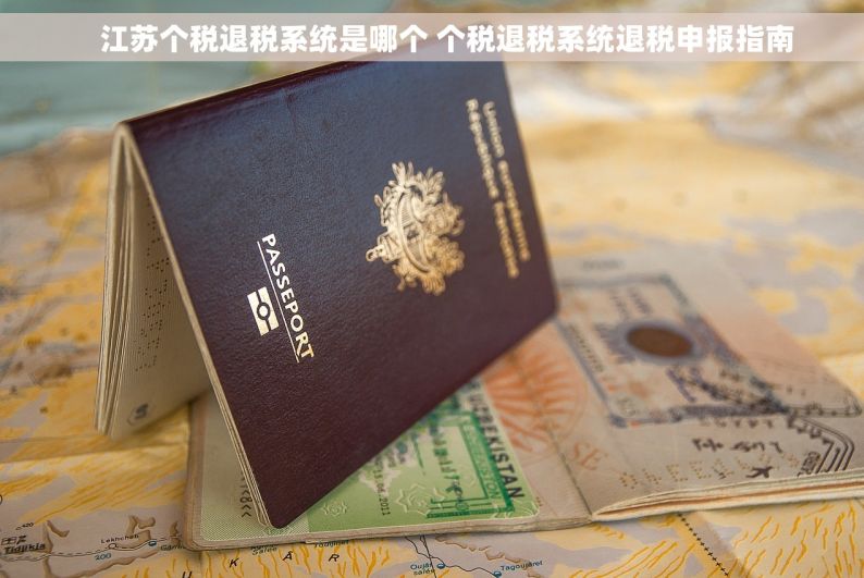     江苏个税退税系统是哪个 个税退税系统退税申报指南
