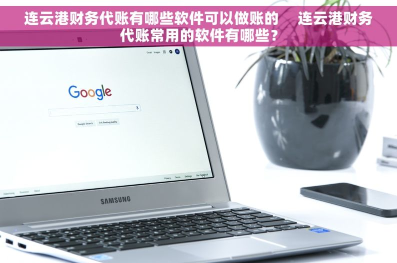连云港财务代账有哪些软件可以做账的     连云港财务代账常用的软件有哪些？
