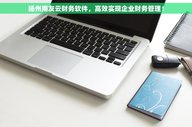 扬州用友云财务软件，高效实现企业财务管理！