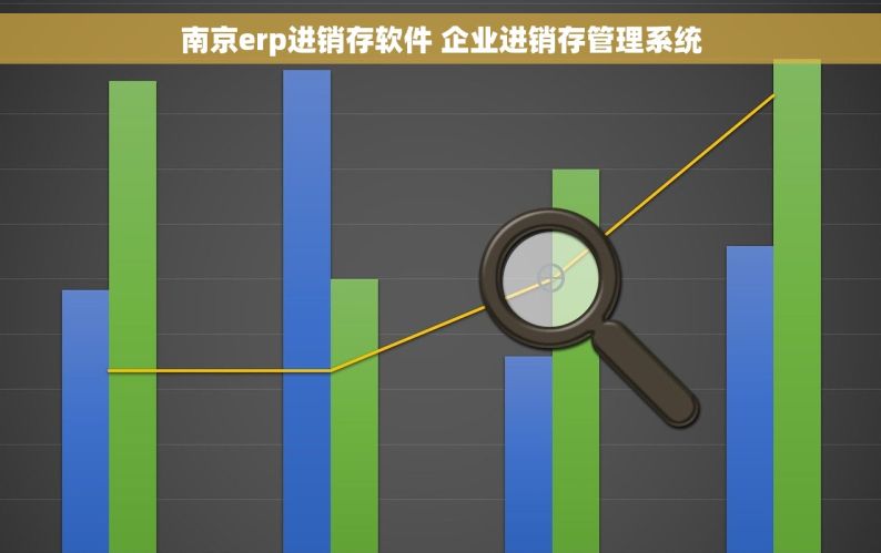 南京erp进销存软件 企业进销存管理系统