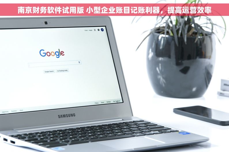 南京财务软件试用版 小型企业账目记账利器，提高运营效率