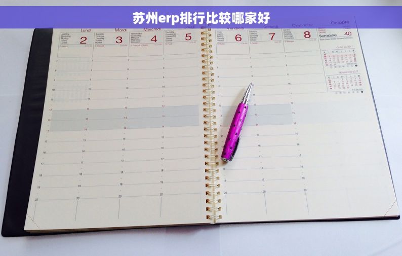 苏州erp排行比较哪家好