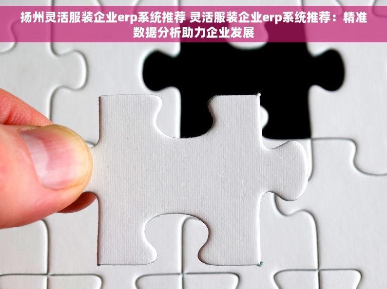 扬州灵活服装企业erp系统推荐 灵活服装企业erp系统推荐：精准数据分析助力企业发展