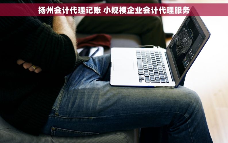 扬州会计代理记账 小规模企业会计代理服务