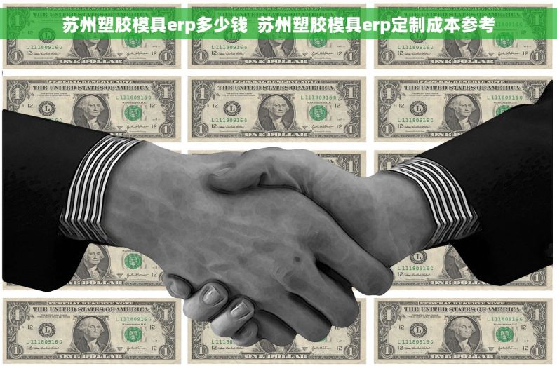 苏州塑胶模具erp多少钱  苏州塑胶模具erp定制成本参考