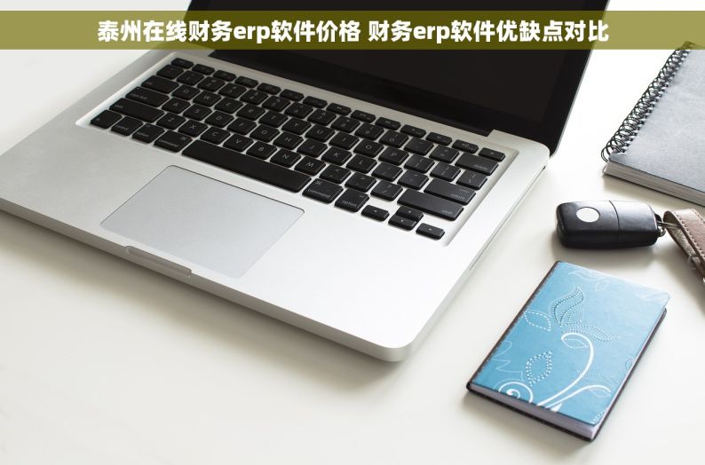 泰州在线财务erp软件价格 财务erp软件优缺点对比