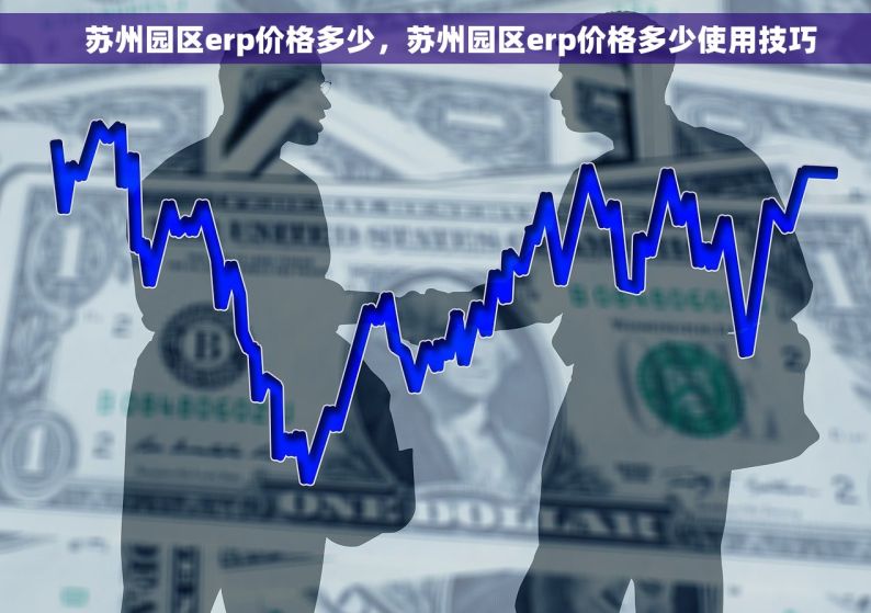     苏州园区erp价格多少，苏州园区erp价格多少使用技巧