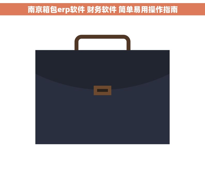 南京箱包erp软件 财务软件 简单易用操作指南