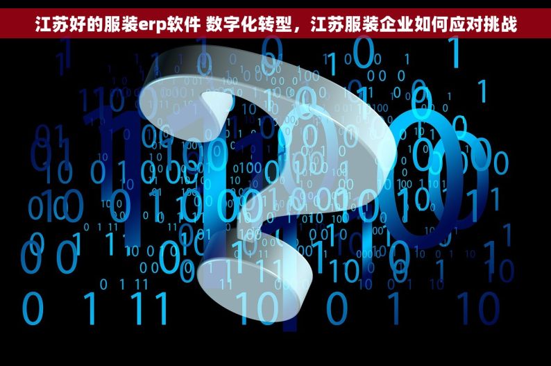 江苏好的服装erp软件 数字化转型，江苏服装企业如何应对挑战