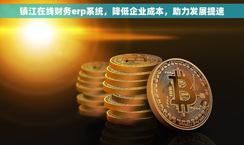 镇江在线财务erp系统，降低企业成本，助力发展提速