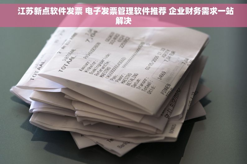   江苏新点软件发票 电子发票管理软件推荐 企业财务需求一站解决