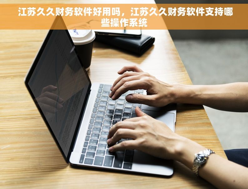  江苏久久财务软件好用吗，江苏久久财务软件支持哪些操作系统