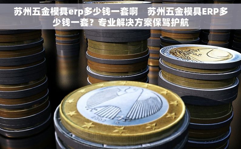 苏州五金模具erp多少钱一套啊    苏州五金模具ERP多少钱一套？专业解决方案保驾护航