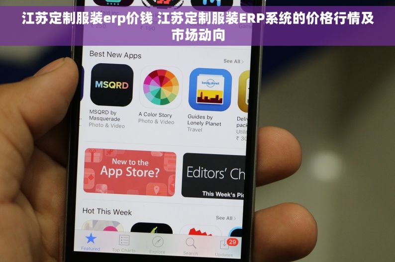 江苏定制服装erp价钱 江苏定制服装ERP系统的价格行情及市场动向
