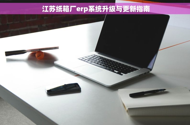 江苏纸箱厂erp系统升级与更新指南