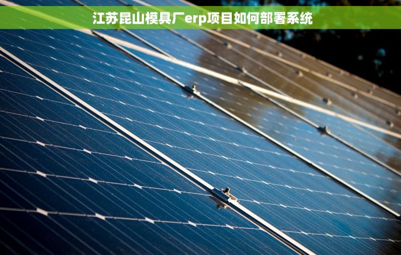  江苏昆山模具厂erp项目如何部署系统