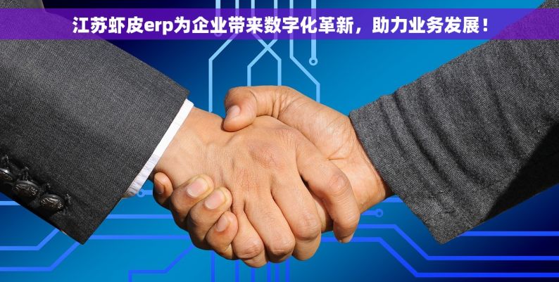 江苏虾皮erp为企业带来数字化革新，助力业务发展！