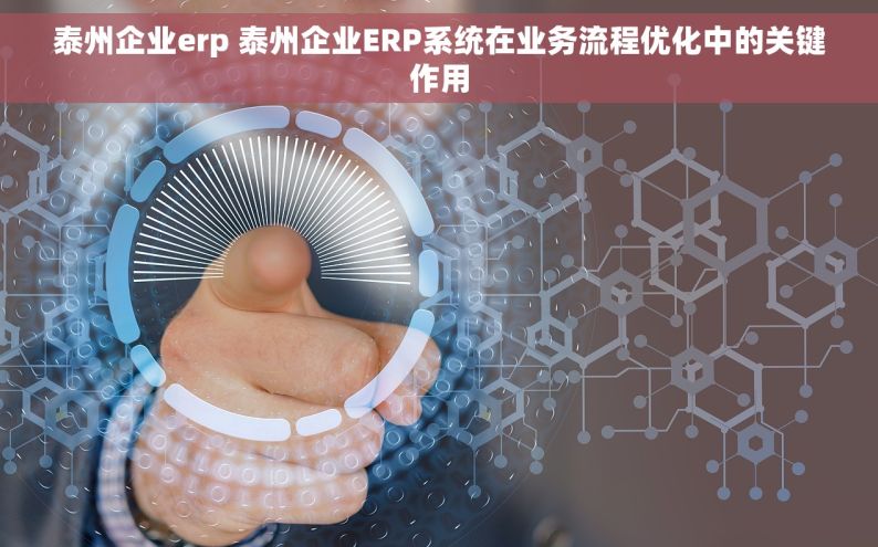 泰州企业erp 泰州企业ERP系统在业务流程优化中的关键作用