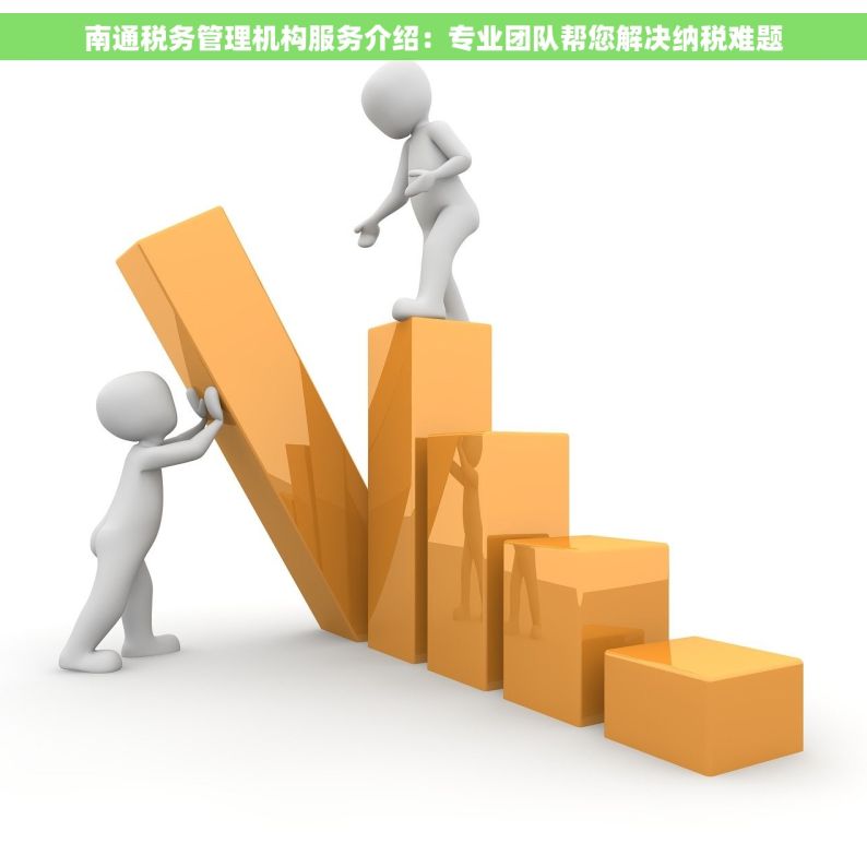南通税务管理机构服务介绍：专业团队帮您解决纳税难题
