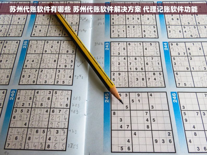 苏州代账软件有哪些 苏州代账软件解决方案 代理记账软件功能