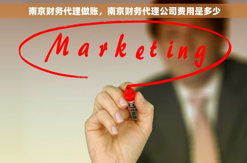  南京财务代理做账，南京财务代理公司费用是多少