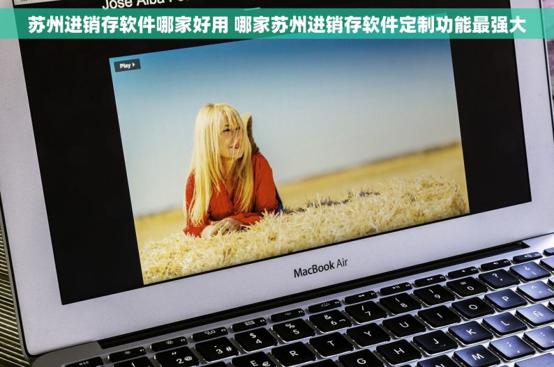 苏州进销存软件哪家好用 哪家苏州进销存软件定制功能最强大