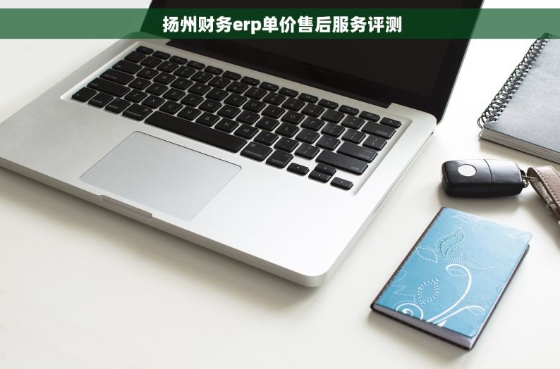  扬州财务erp单价售后服务评测
