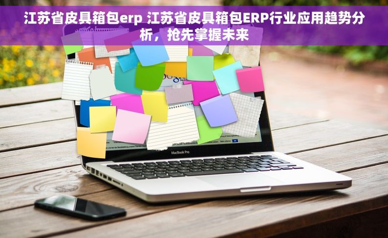 江苏省皮具箱包erp 江苏省皮具箱包ERP行业应用趋势分析，抢先掌握未来