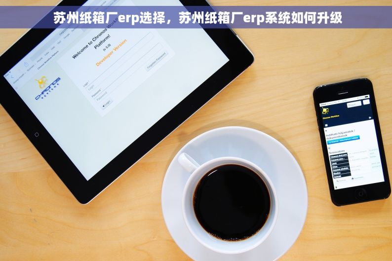  苏州纸箱厂erp选择，苏州纸箱厂erp系统如何升级