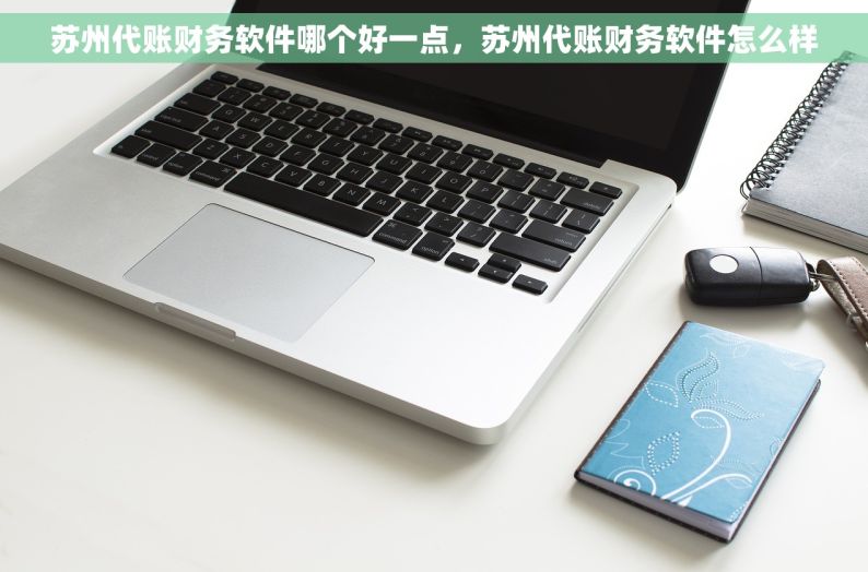 苏州代账财务软件哪个好一点，苏州代账财务软件怎么样