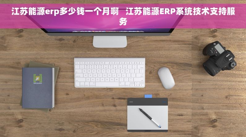 江苏能源erp多少钱一个月啊   江苏能源ERP系统技术支持服务