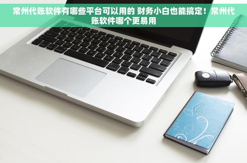 常州代账软件有哪些平台可以用的 财务小白也能搞定！常州代账软件哪个更易用