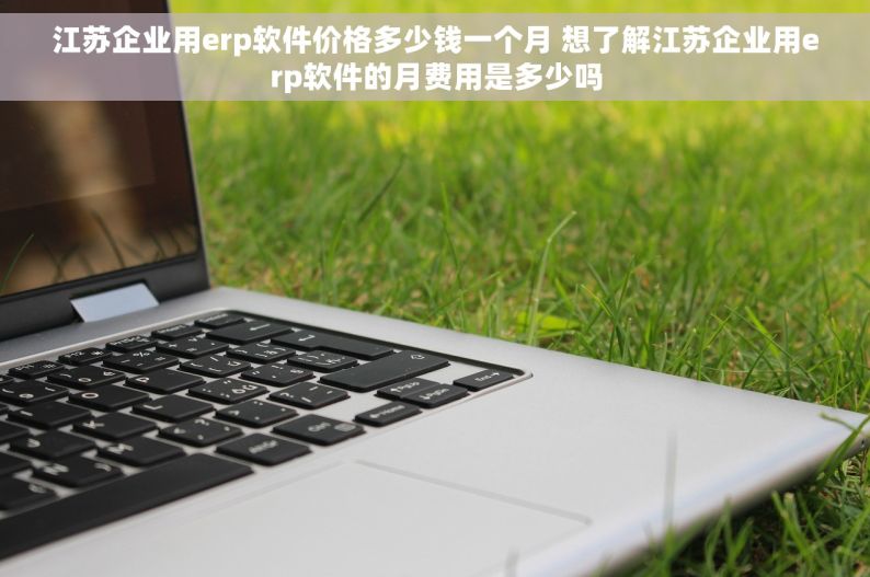 江苏企业用erp软件价格多少钱一个月 想了解江苏企业用erp软件的月费用是多少吗