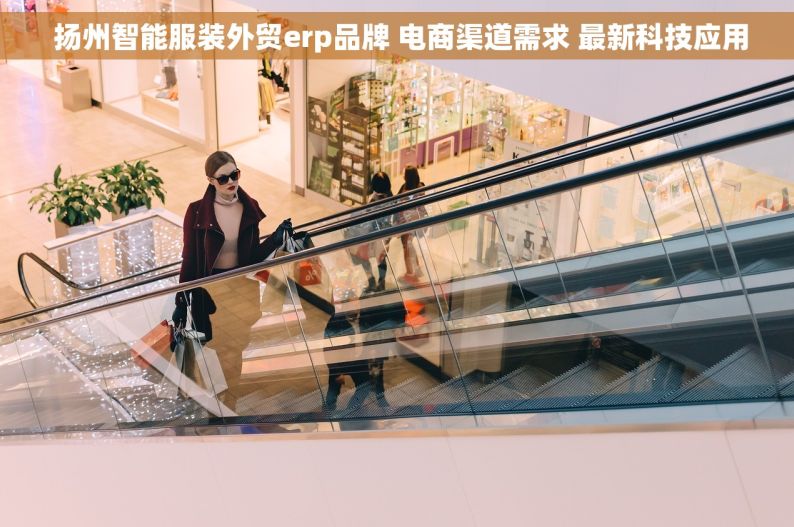 扬州智能服装外贸erp品牌 电商渠道需求 最新科技应用